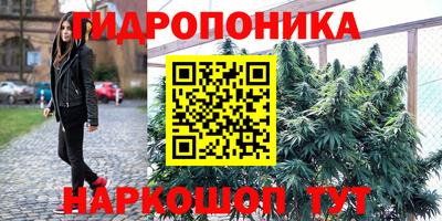 тгк Краснодар